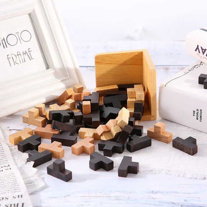 3D Houten Puzzel Denkspel