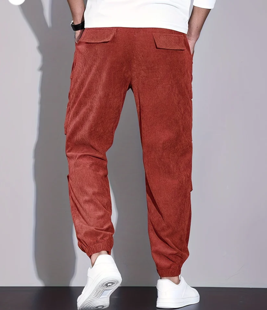 Anthony | Pantaloni casual alla moda in velluto a coste Cordino