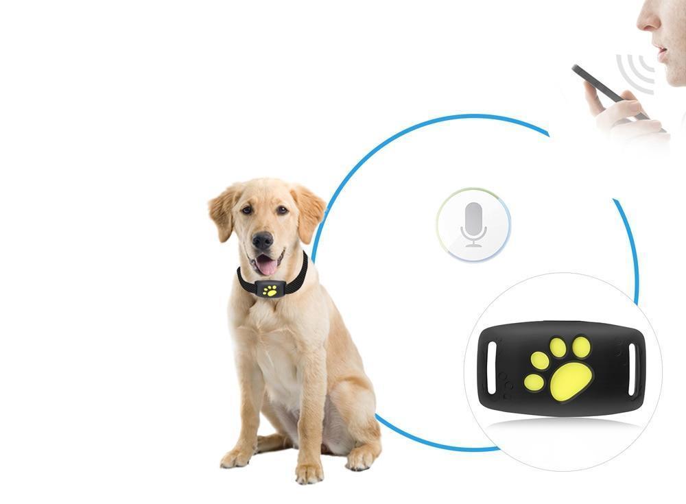Zuverlässiges GPS-Katzenhalsband mit Echtzeit-Tracking für Haustiere
