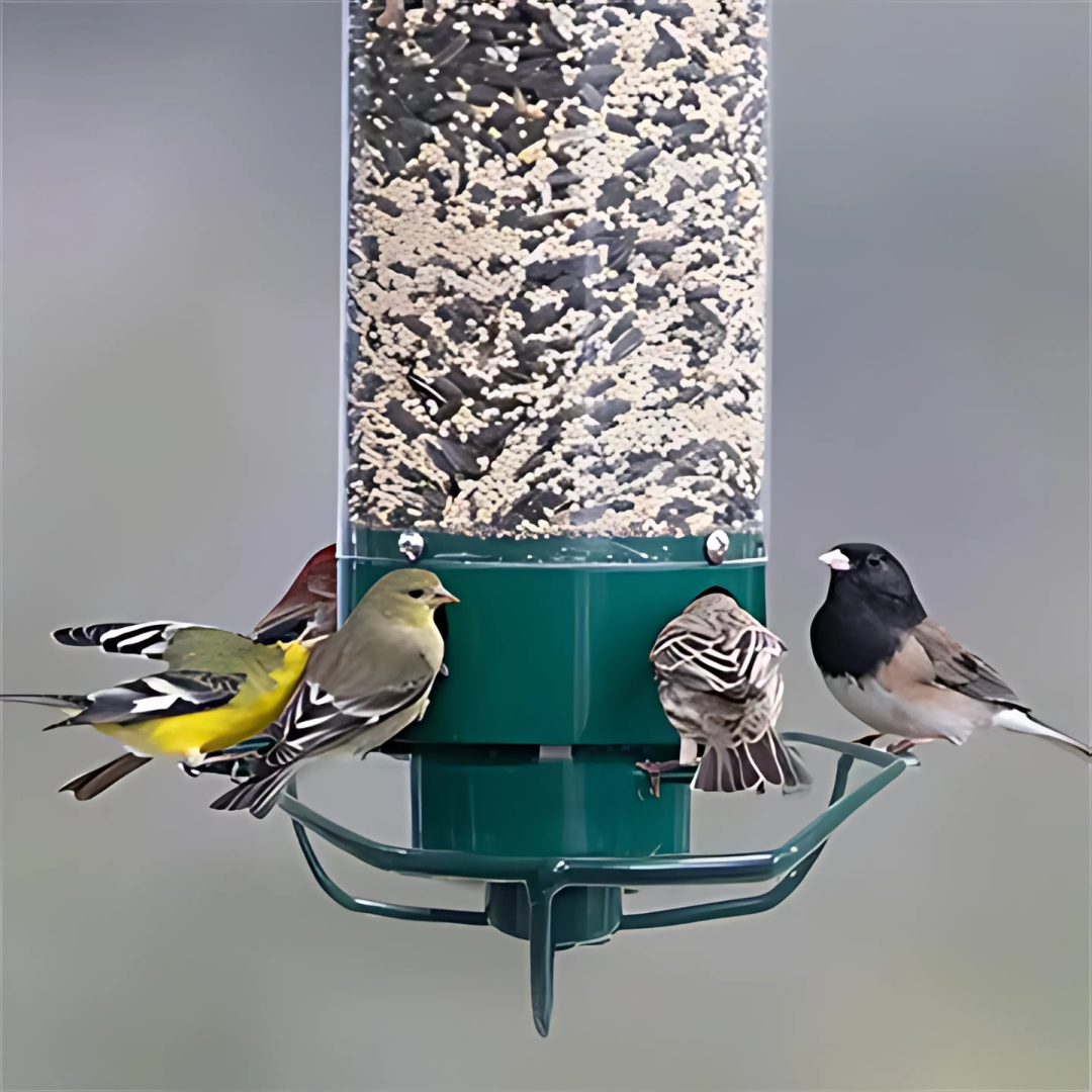 Eekhoorn-Proof Hangende Vogelvoeder voor Buiten met Grote Zaadcapaciteit