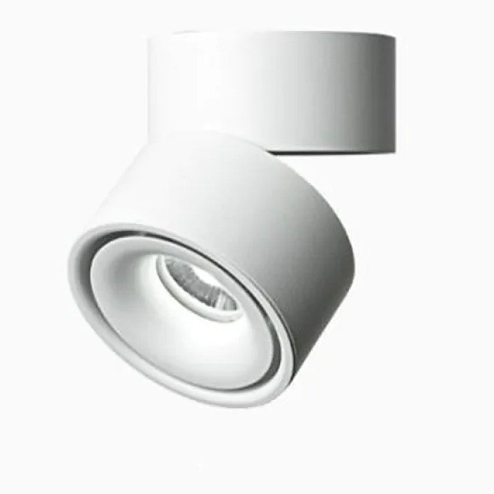 Witte Helvexia plafondlamp met draaibare spot en strak, modern design. Deze elegante lamp biedt gerichte verlichting en is perfect voor elke ruimte in huis of op kantoor. Tijdloos en minimalistisch voor een verfijnde uitstraling.