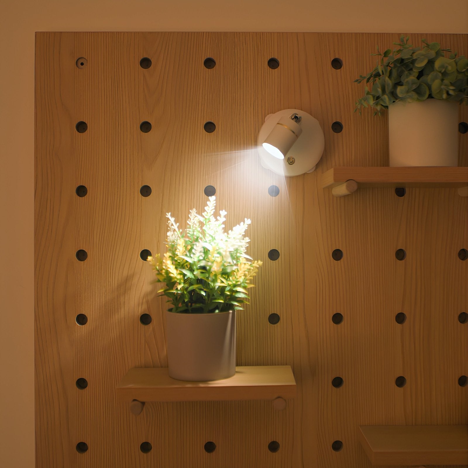 LumiaPro Spotlight verlicht efficiënt een plant met een energiezuinige en stijlvolle spotlamp op een houten plank, perfect voor het creëren van een moderne sfeer in elke ruimte.