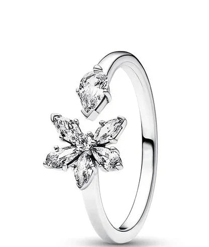 Glimmende Liebe Silberner Ring