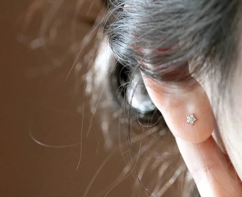 Betoverend Klein Bloem Zirkonia Oorstekers van Zilverbloesem