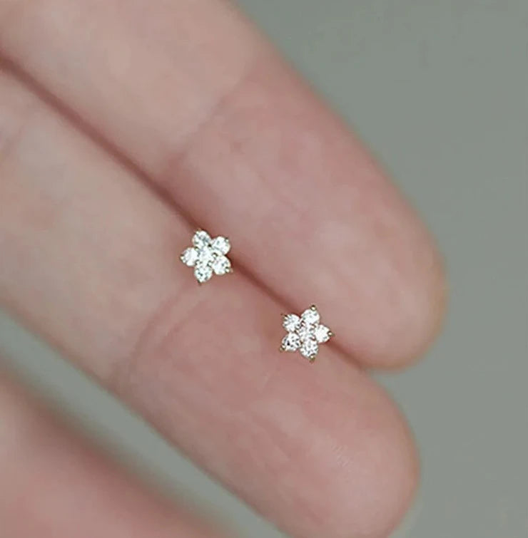 Betoverende Pentagram Kleine Bloem Zirkoon Stud Oorbellen