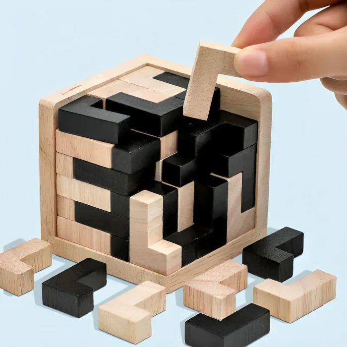 3D Houten Puzzel Denkspel