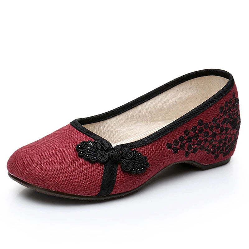 Aurora Dance Shoes for Stylish Dancing