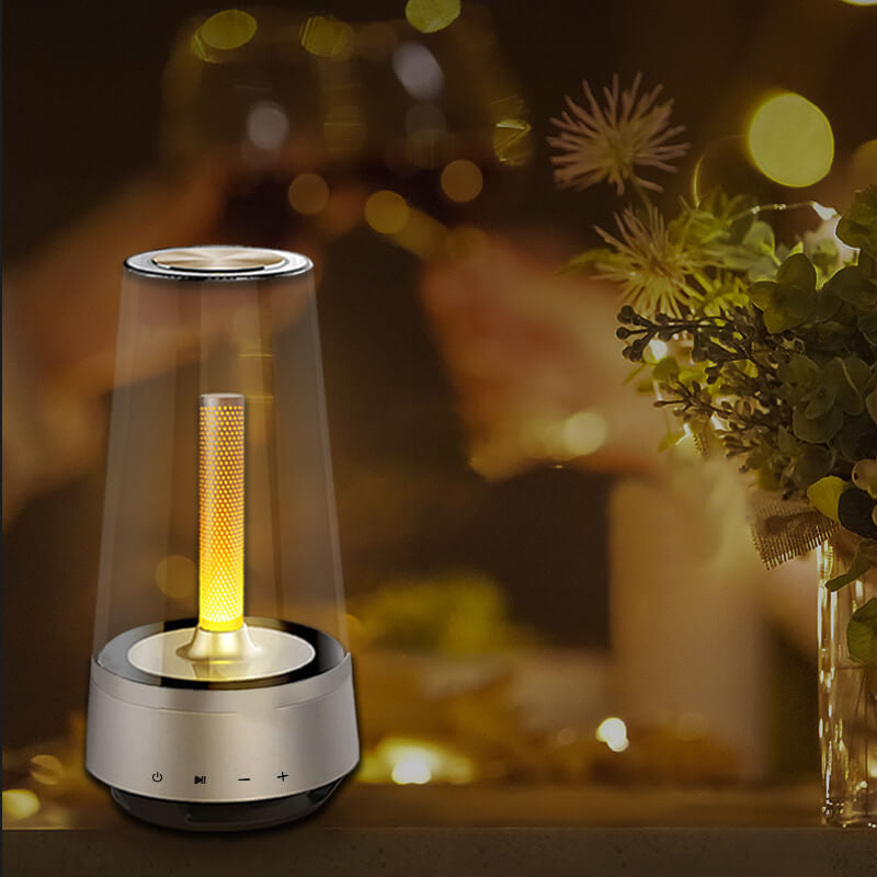 Draadloze Buiten Speaker met Vlameffect