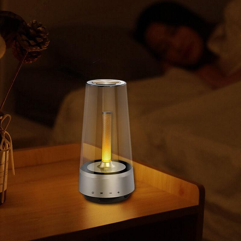 Draadloze Buiten Speaker met Vlameffect