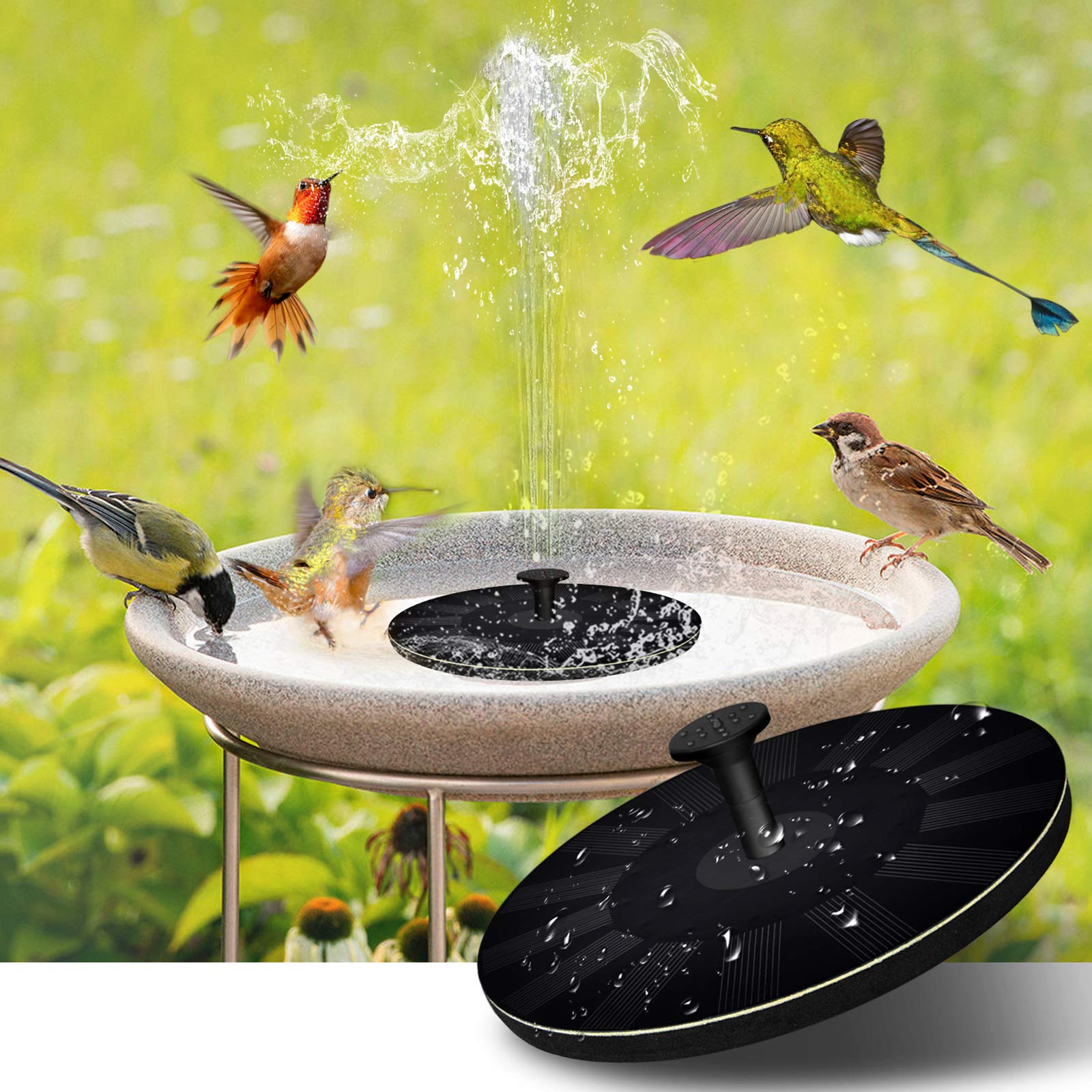 Duurzaam Vogelbad Met Zonne-Energie Fontein