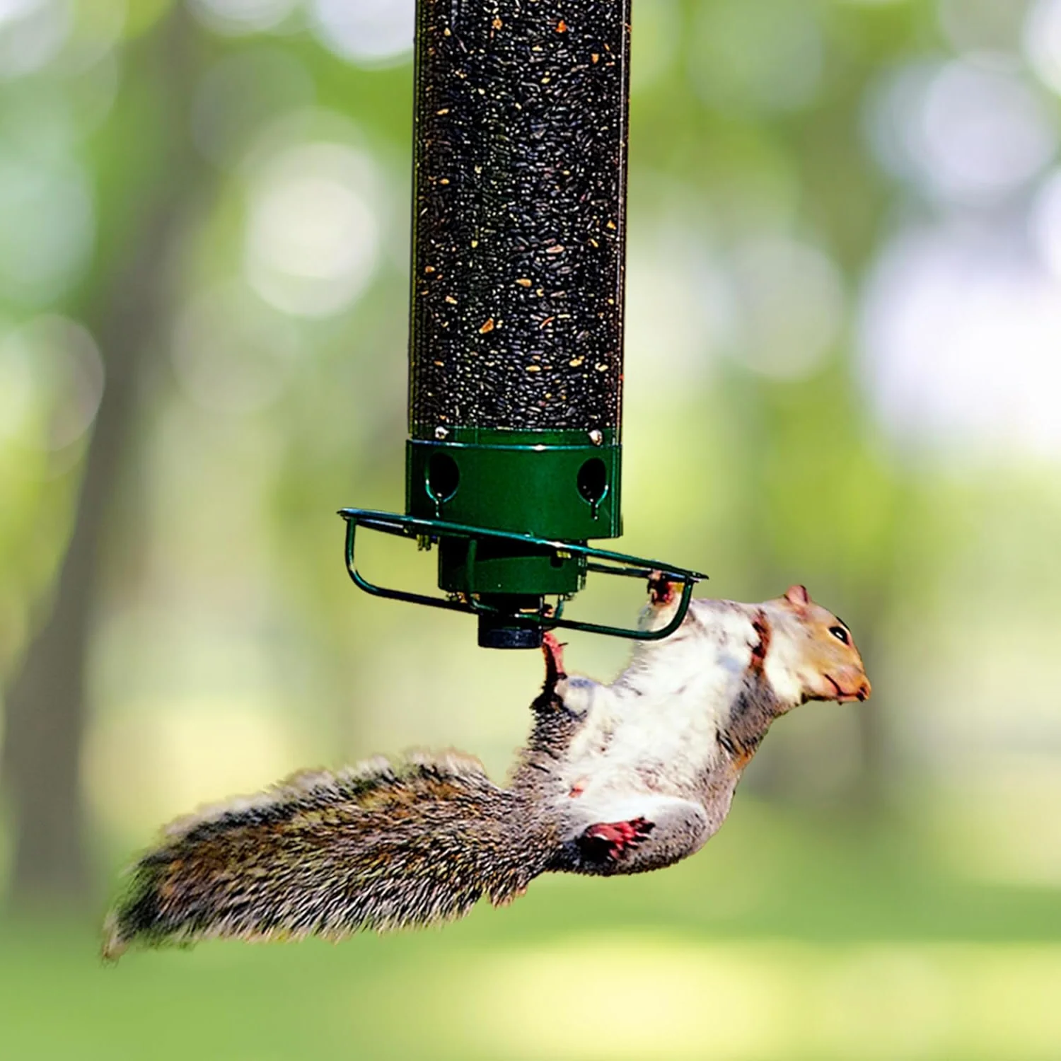 Eekhoorn-Proof Hangende Vogelvoeder voor Buiten met Grote Zaadcapaciteit