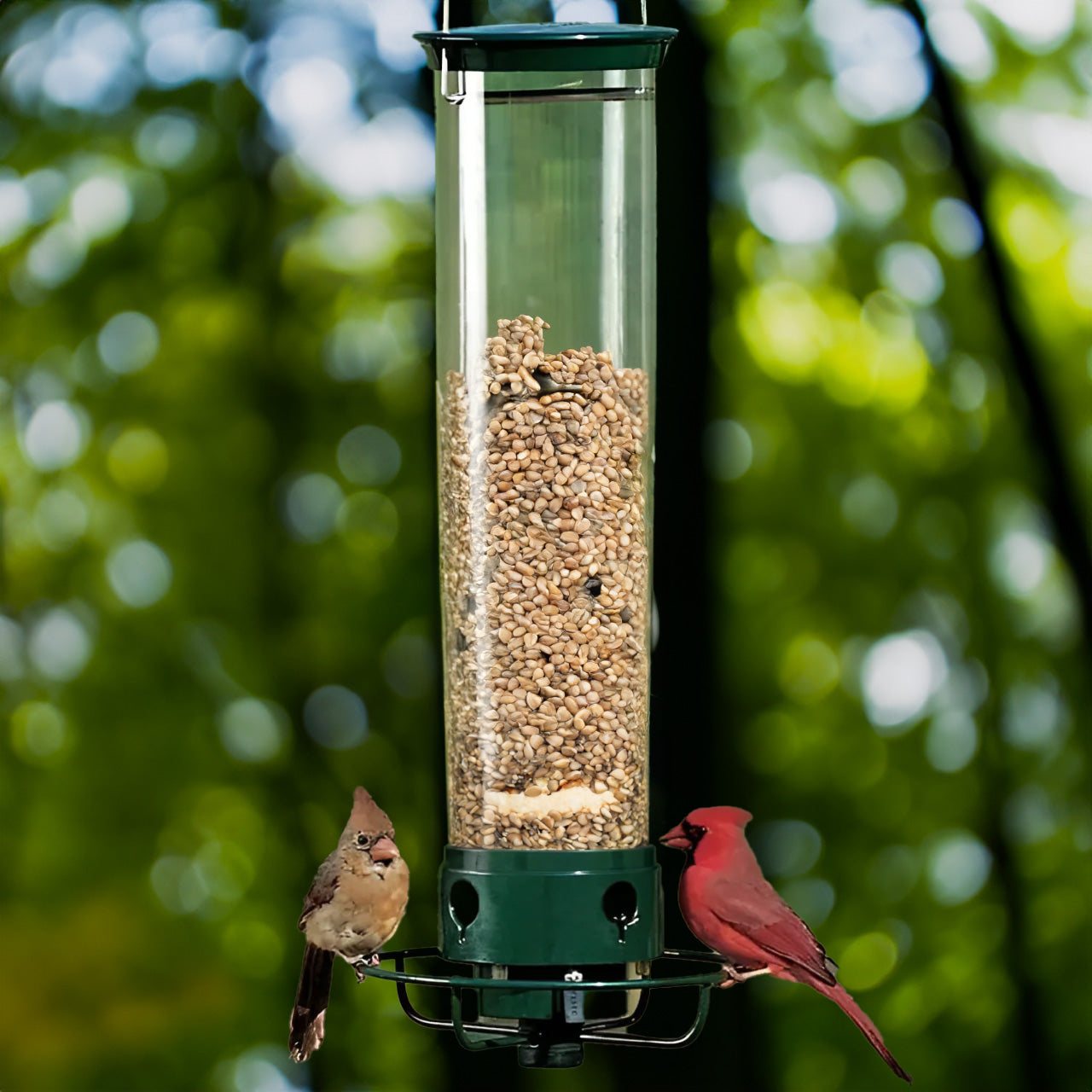Eekhoornbestendige Vogelvoeder met Gewicht Geactiveerde Perch