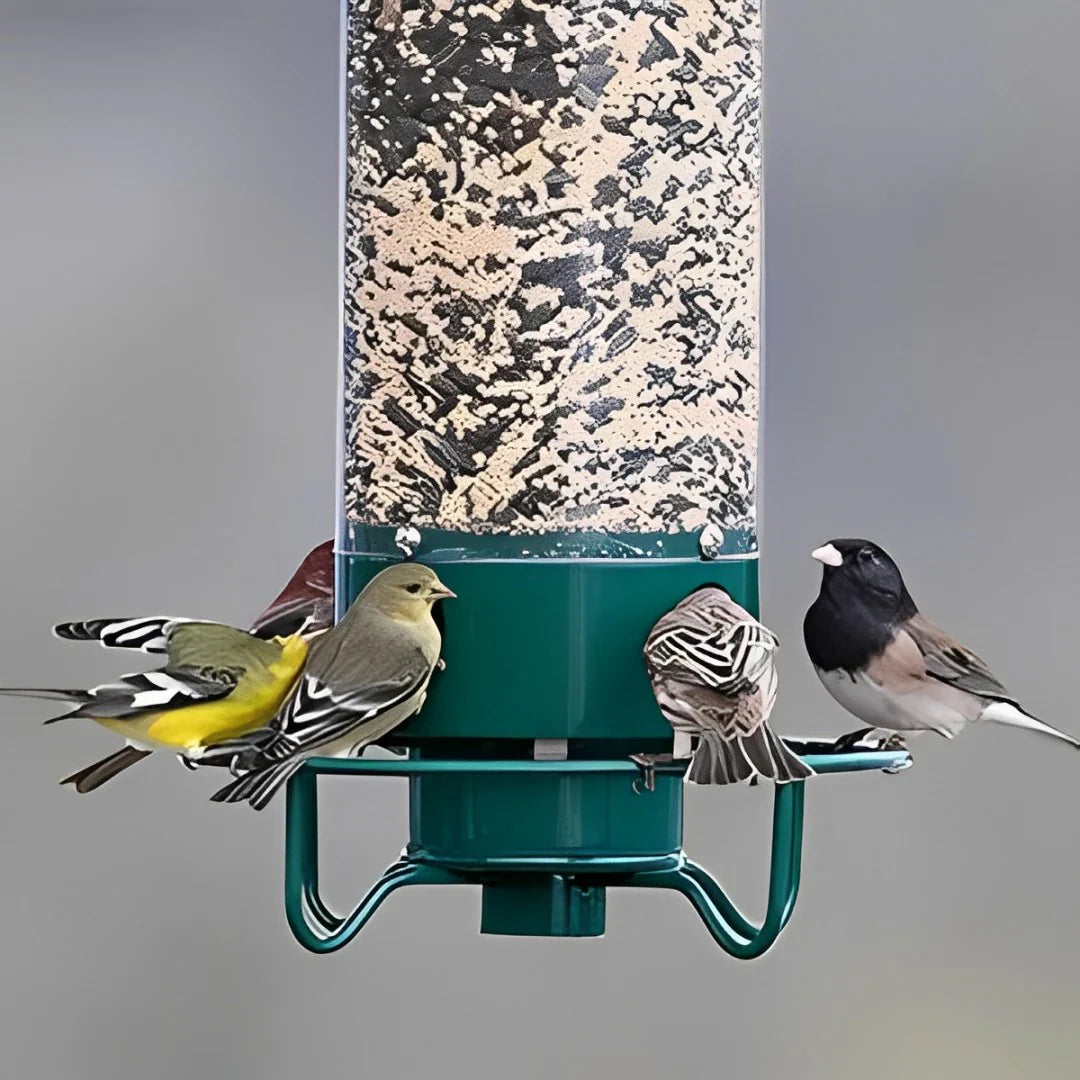 Eekhoornbestendige Vogelvoeder met Gewicht Geactiveerde Perch
