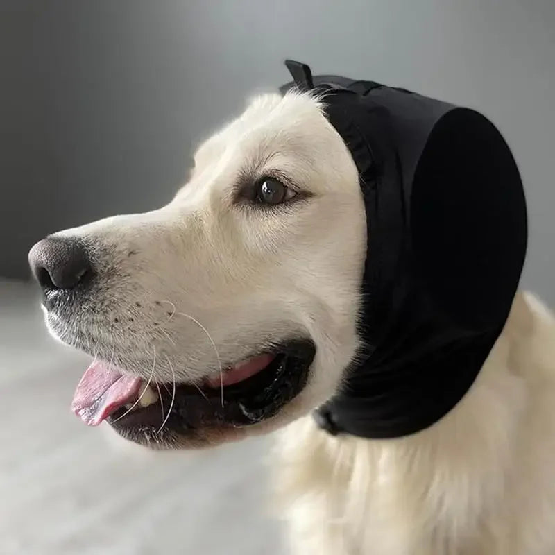 Cuffie antirumore per cani