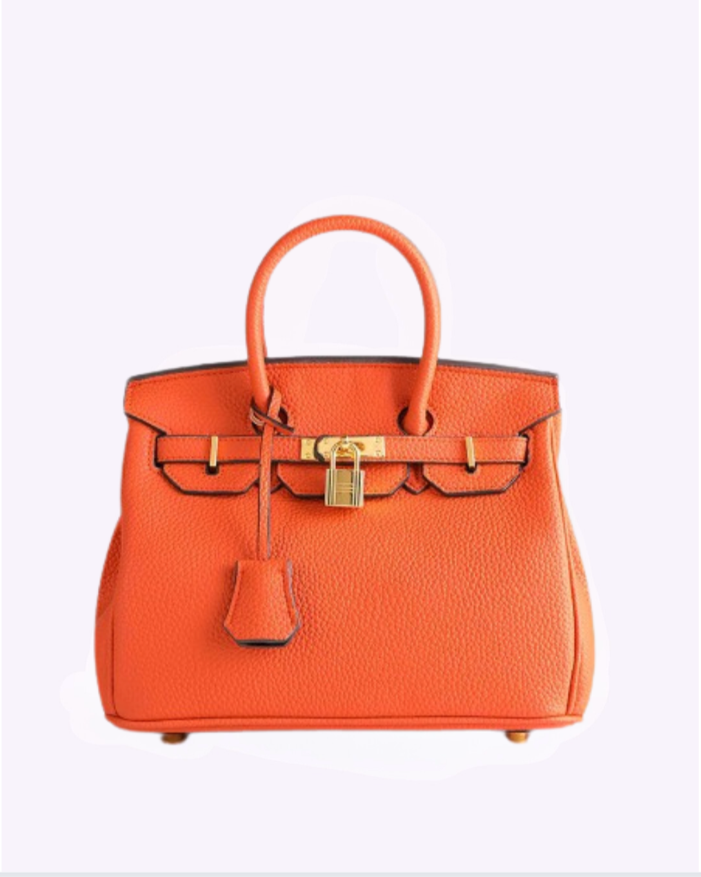  Gina tas in helder oranje met gouden accenten en een klassiek ontwerp. De tas straalt vrolijkheid en stijl uit, ideaal voor dagelijks gebruik en als opvallend accessoire bij elke outfit.