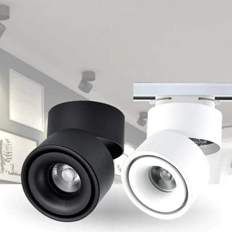 Twee Helvexia plafondlampen in modern zwart-wit design. De lampen hebben een draaibare spot voor gerichte verlichting en een elegante, strakke afwerking. Perfect voor het verlichten van woonkamers, gangen of werkruimtes.