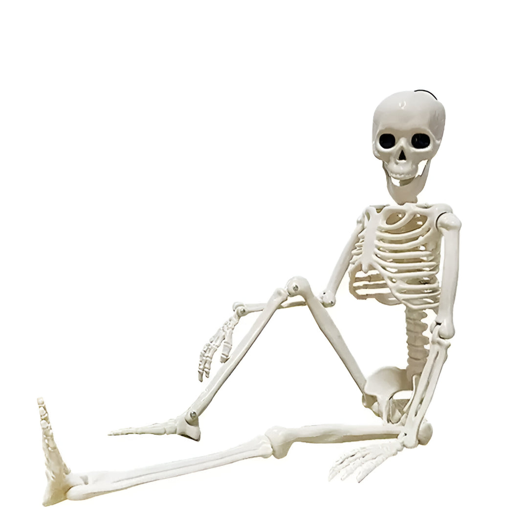 Realistisch Skelett voor Halloween Buiten Decoratie